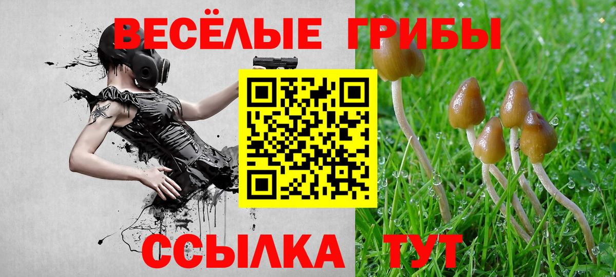Псилоцибиновые грибы ЛСД Казань