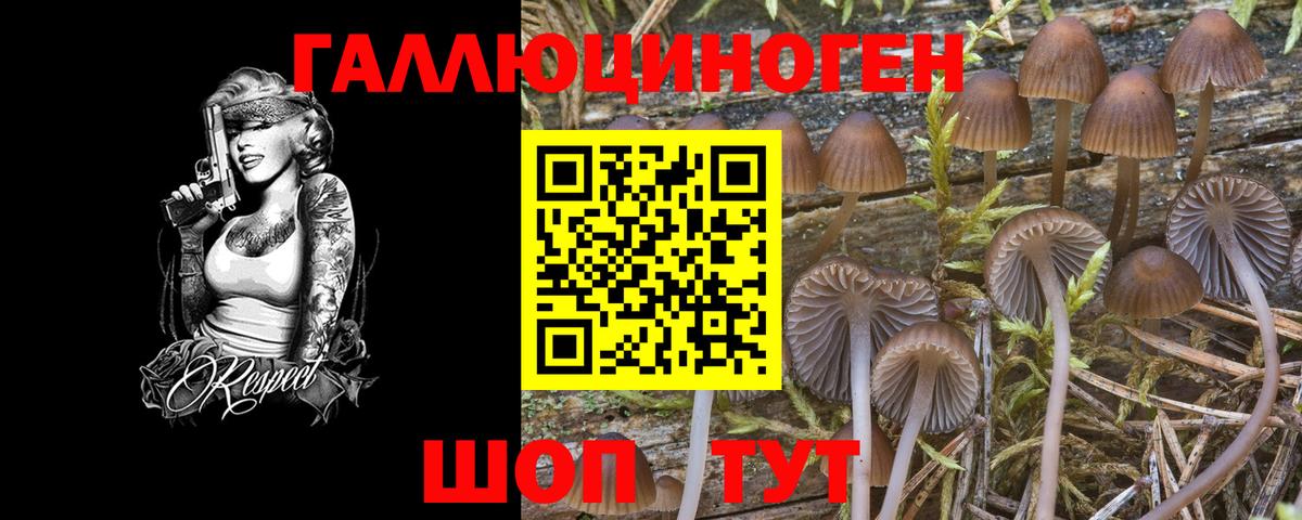 Галлюциногенные грибы MAGIC MUSHROOMS  Вход с VPN  Галлюциногенные грибы MAGIC MUSHROOMS  Казань 